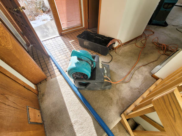 Best Emergency water damage restoration  in Manitou Springs, CO