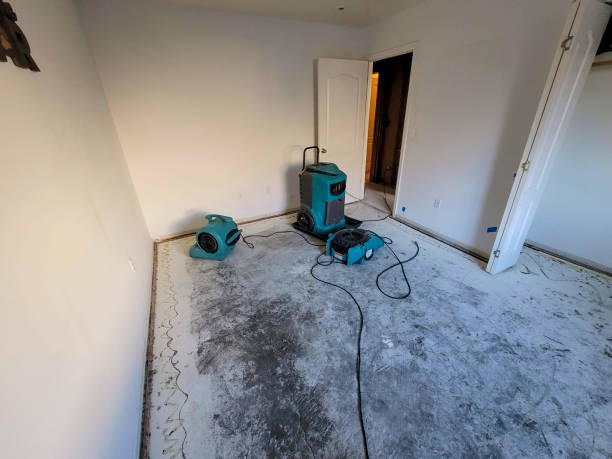 Best Water damage mitigation services  in Manitou Springs, CO