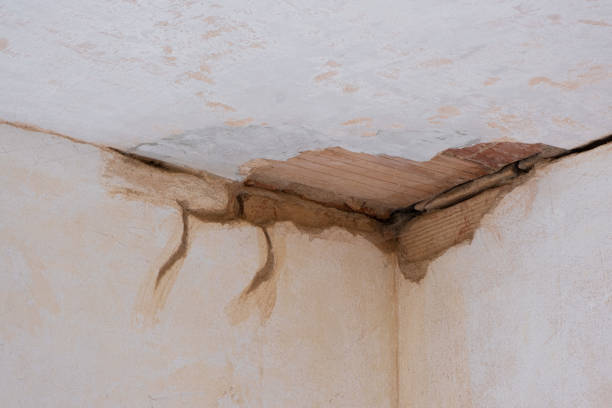 Professional Water damage restoration in CO
