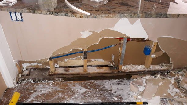 Best Flood damage cleanup  in Manitou Springs, CO