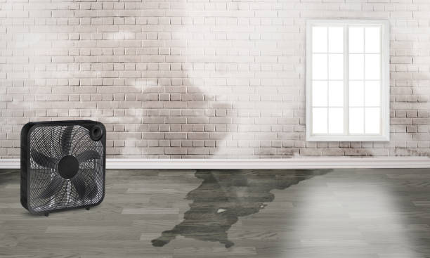 Best Water damage restoration near me  in Manitou Springs, CO