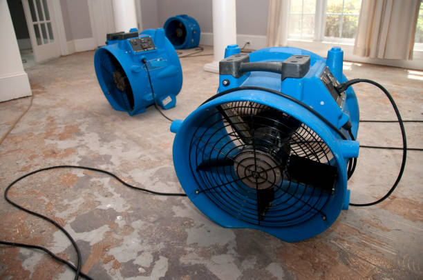 Best Water damage cleanup near me  in Manitou Springs, CO