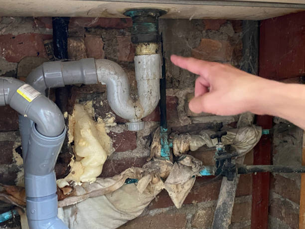 Best Professional water damage repair  in Manitou Springs, CO