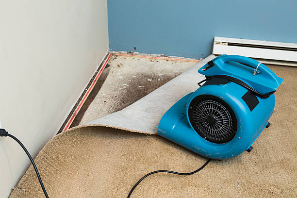 Best Flooded house restoration  in Manitou Springs, CO